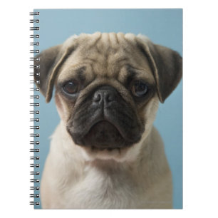 Pug Puppy Notebook