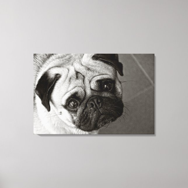 Pug Puppy on Canvas Print (Front)