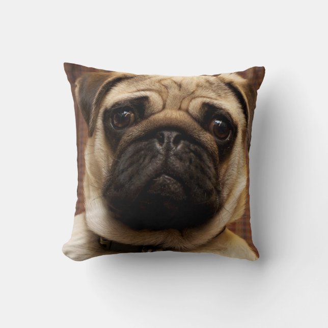 Pug Puppy Pet Dog Throw Pillow Home Decor (Front)