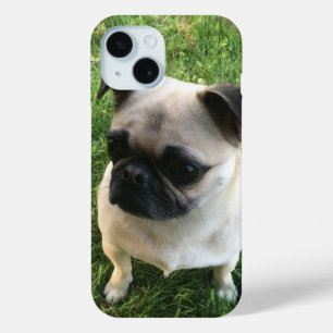 Pug Puppy Photo iPhone 15 Case