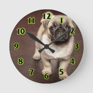 Pug Puppy Round Clock