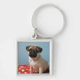 Pug puppy sitting on bed key ring