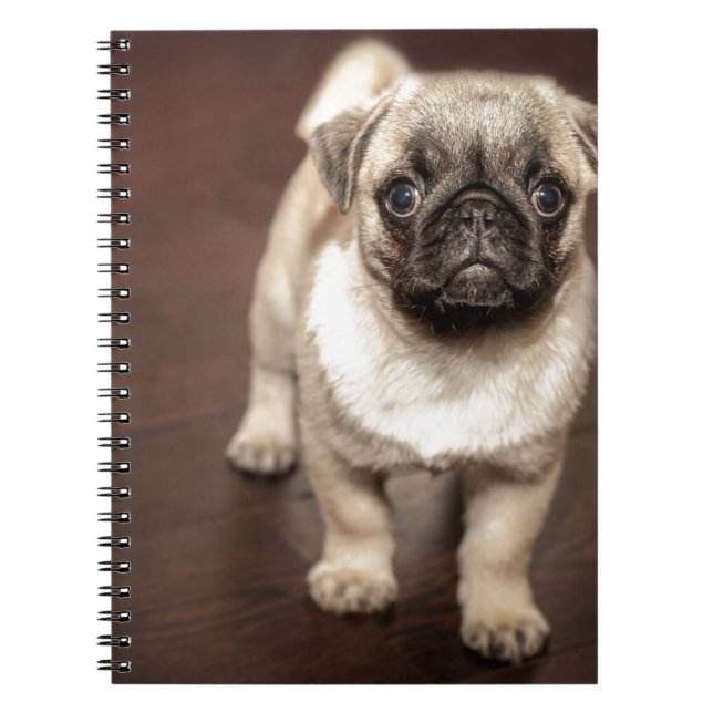 Pug Puppy Spiral Notebook (Front)