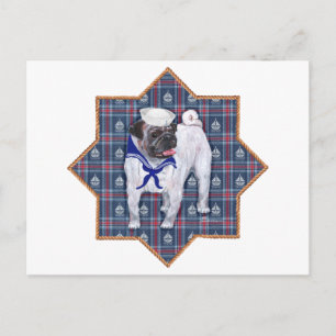 Pug Sailor Postcard