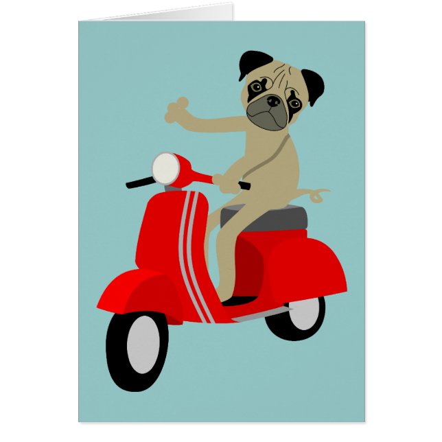 Pug Scooter (Front)