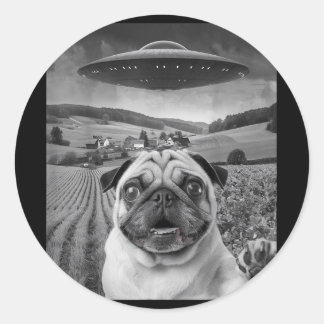 Pug Selfie With Alien Ufo Funny Pug Gifts For Men Classic Round Sticker