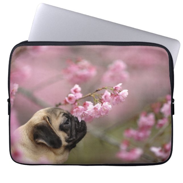 Pug Smelling Cherry Blossoms Laptop Sleeve (Front)