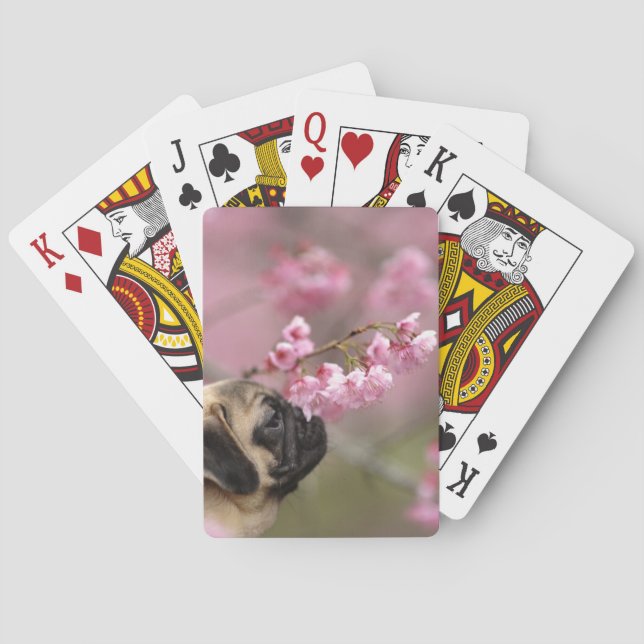 Pug Smelling Cherry Blossoms Playing Cards (Back)