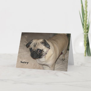 Pug - Sorry Card