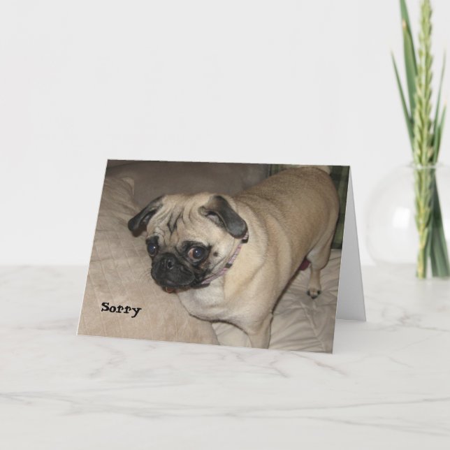 Pug - Sorry Card (Front)