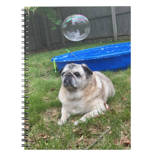 Pug Spiral Notebook (Front)