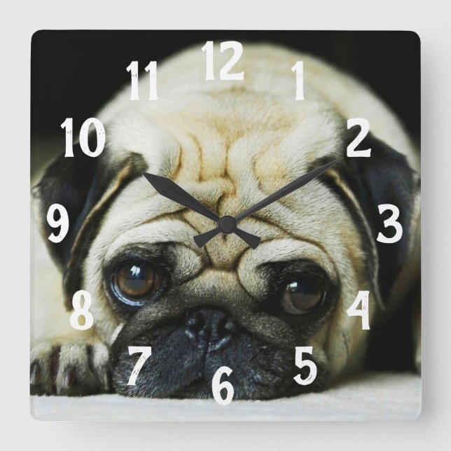 Pug Square Wall Clock (Front)