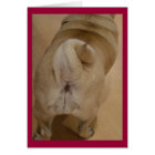 Pug Tail Valentine Card