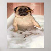 Pug Taking Bubble Bath