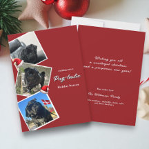 pug-tastic holiday three photo christmas card
