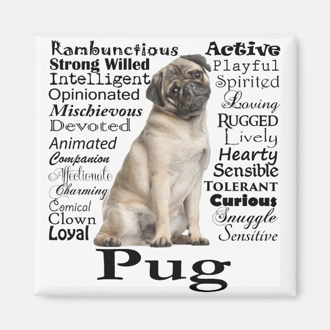 Pug Traits Magnet (Front)
