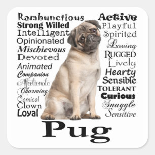 Pug Traits Stickers