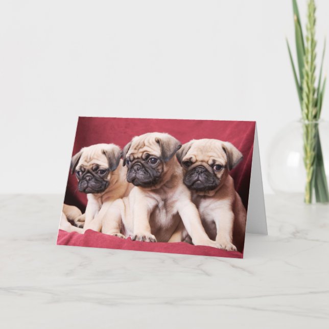 Pug Triplets Card (Front)