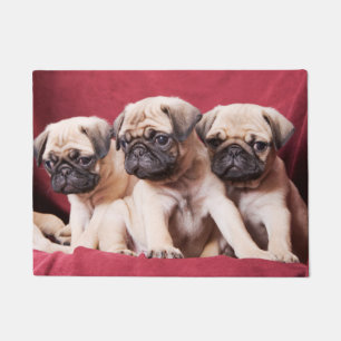 Pug Triplets Doormat