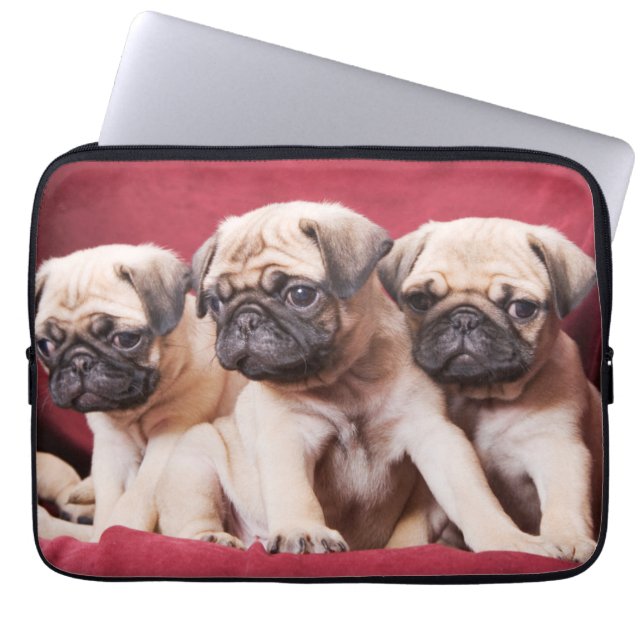 Pug Triplets Laptop Sleeve (Front)