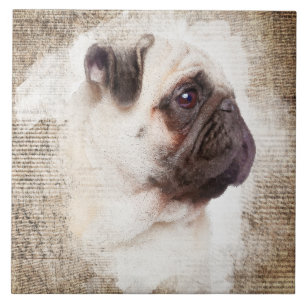 Pug Vintage Portrait Tile