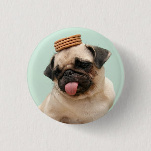 Pug Wants Treats 3 Cm Round Badge