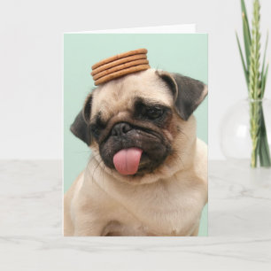Pug Wants Treats Card