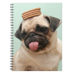 Pug Wants Treats Notebook