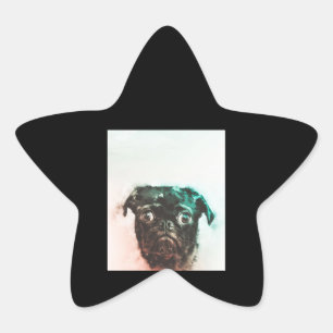 Pug Watercolor Cute Pug Dog Art Watercolor Star Sticker