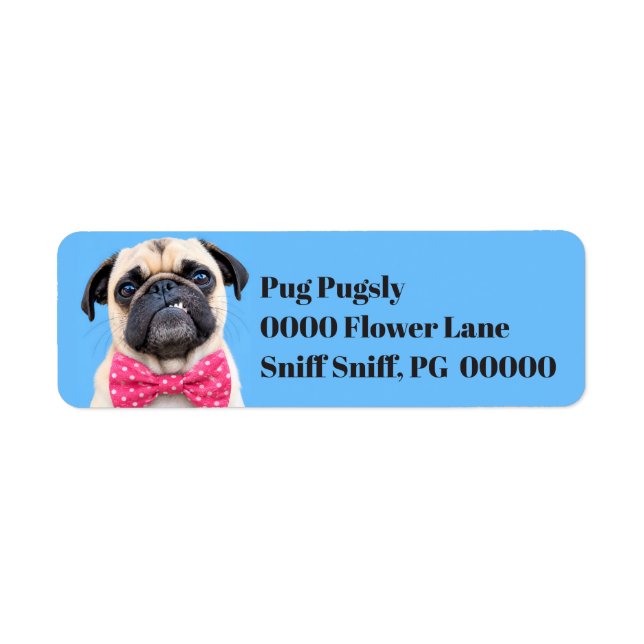 Pug Wearing Pink Bow (Front)