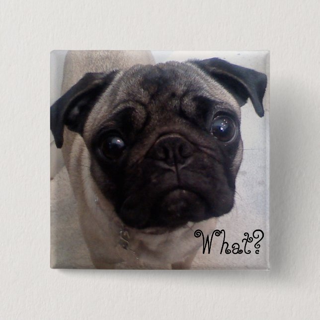 Pug What? 15 Cm Square Badge (Front)