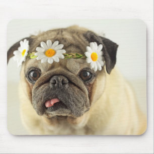 Pug with Daisy Crown Mouse Pad