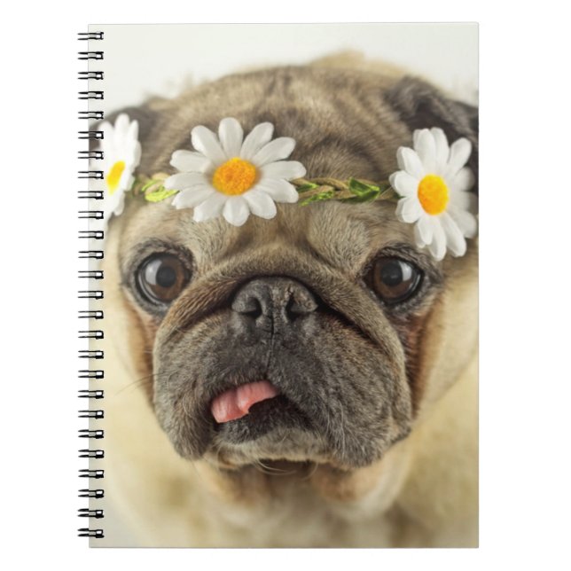 Pug with Daisy Crown Notebook (Front)