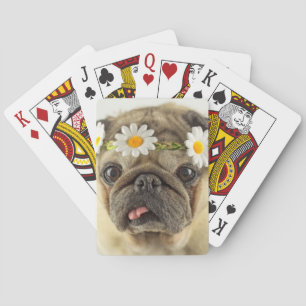 Pug with Daisy Crown Playing Cards