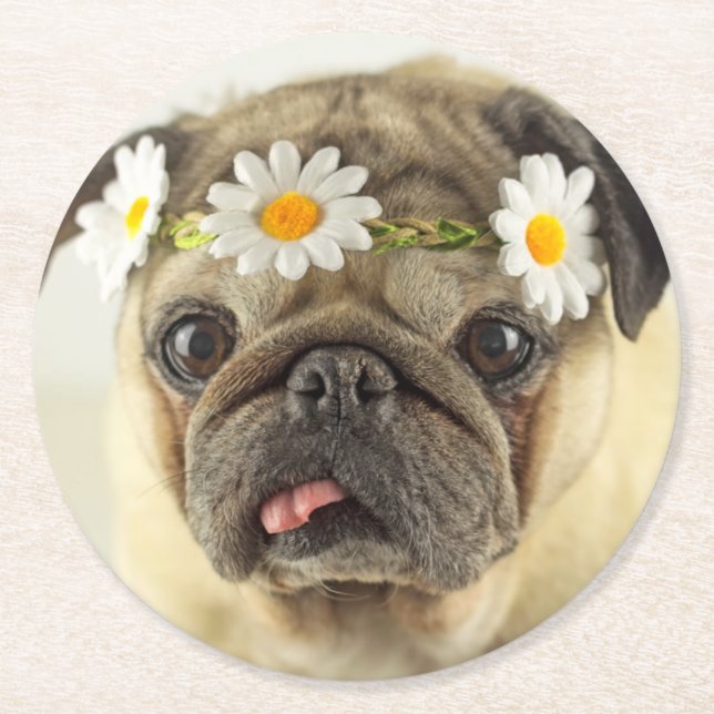 Pug with Daisy Crown Round Paper Coaster (Front)