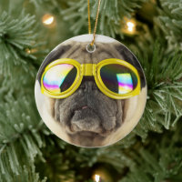 Pug with Goggles