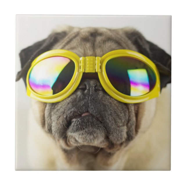 Pug with Goggles Tile (Front)