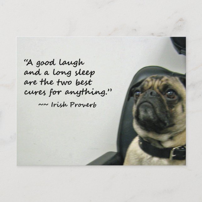 Pug with Irish Proverb Postcard (Front)