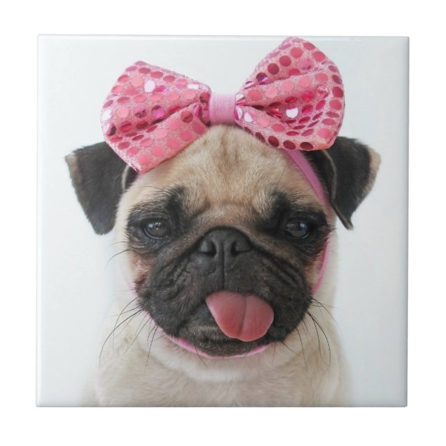 Pug with Pink Bow Tile (Front)