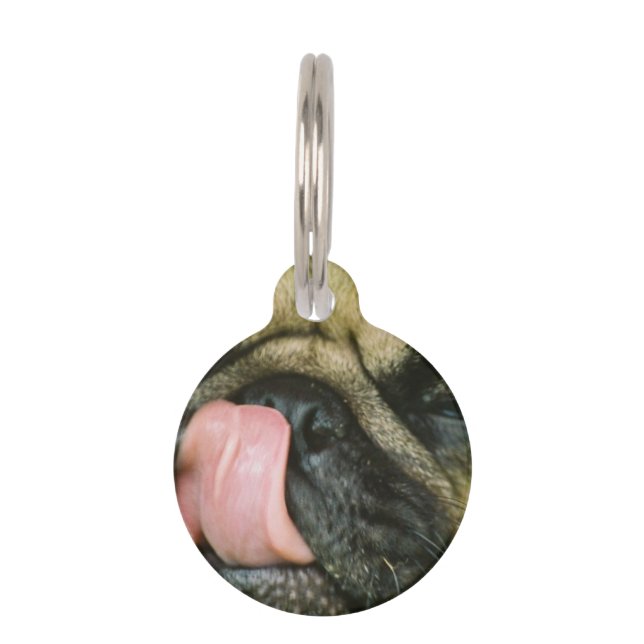 Pugalicious Pet Tag (Front)
