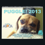 Puggle! 2013 Calendar<br><div class="desc">This is the Puggle! 2013 Calendar chose by the 15, 000  fans of the puggle on Facebook! The model for each month was chosen by the fans as part of the Profile Pic Pageant.  If you love the puggle like all of us visit our page at: www.facebook.com/PuggleDog</div>