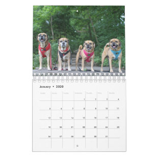 PUGGLE 2020 CALENDAR
