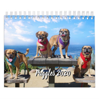 PUGGLE - 2020 CALENDAR