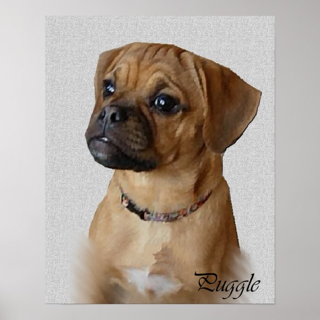 Puggle Art Prints (Front)