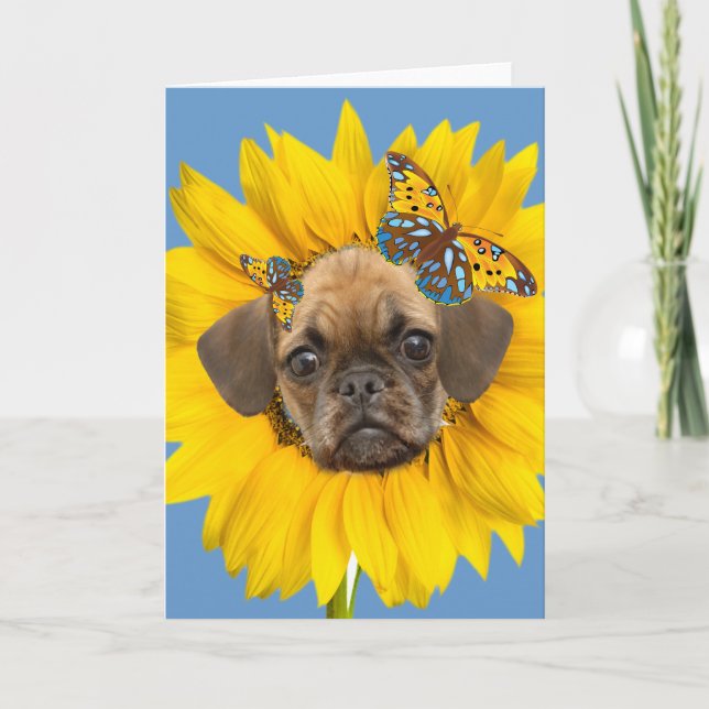 Puggle Face In A Daisy Cards (Front)