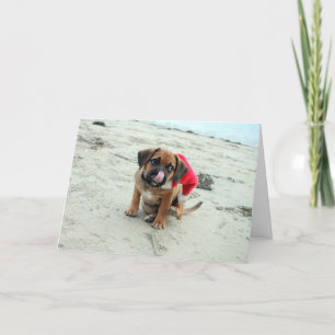 Puggle! Holiday Card