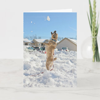 Puggle! Holiday Card