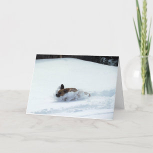 Puggle! Holiday Card