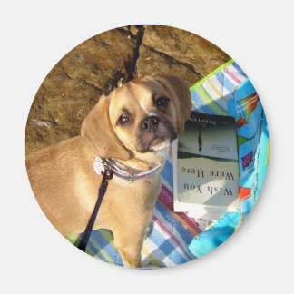 Puggle Magnet