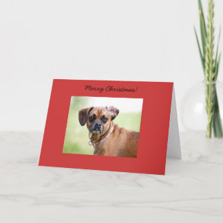 Puggle Merry Christmas Card